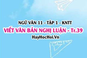 Soạn bài Viết văn bản nghị luận về một tác phẩm truyện trang 39 Ngữ văn lớp 11 Kết nối tri thức tập 1